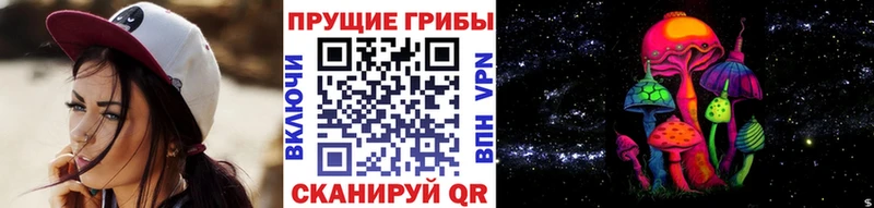 продажа наркотиков  kraken рабочий сайт  Псилоцибиновые грибы мицелий  Моздок 